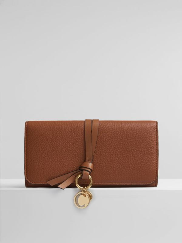 Chloé Carteras Mujer Alphabet Marrones Calfskin QEXL92537